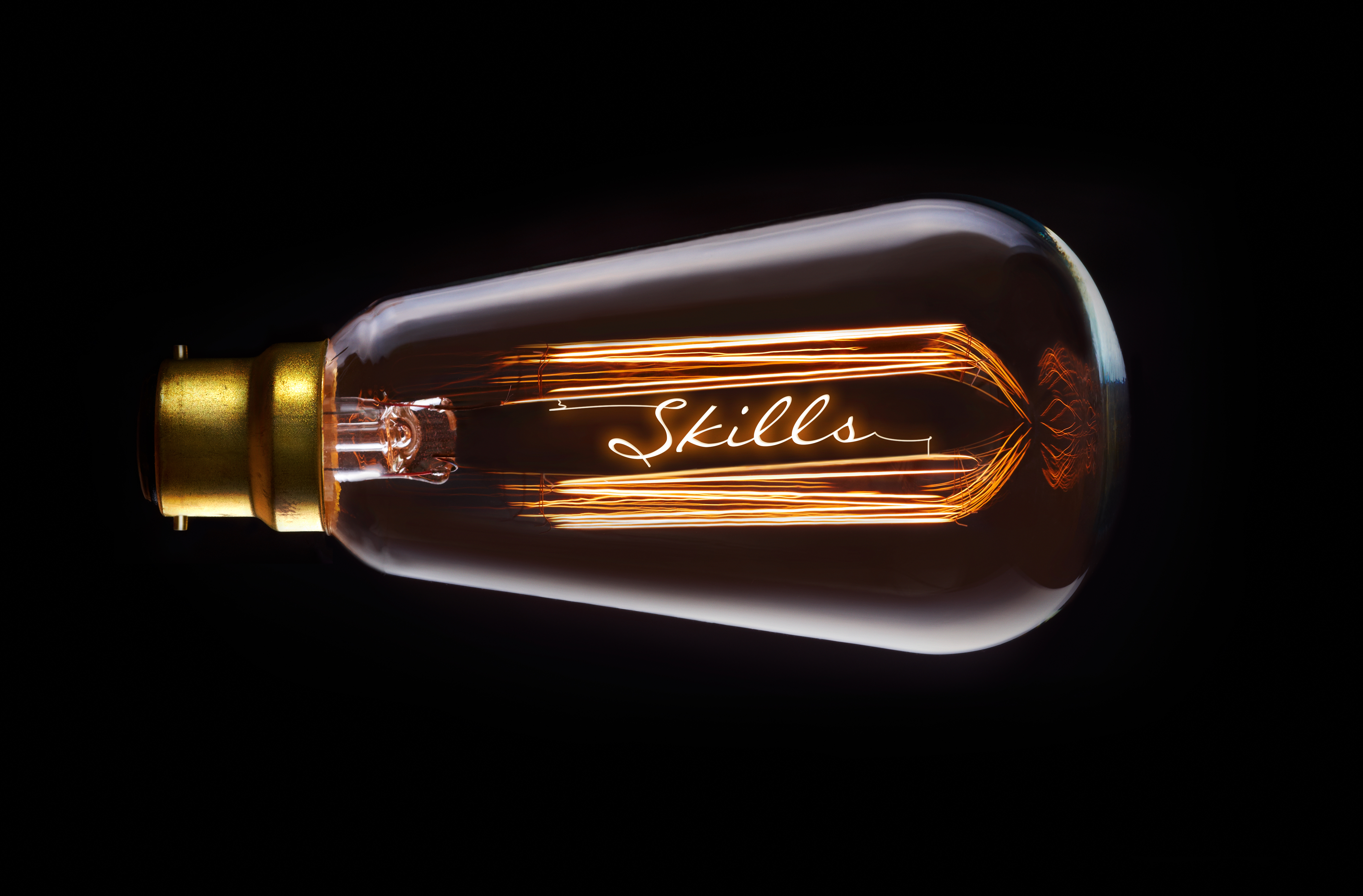 A light bulb with the word skills in it.